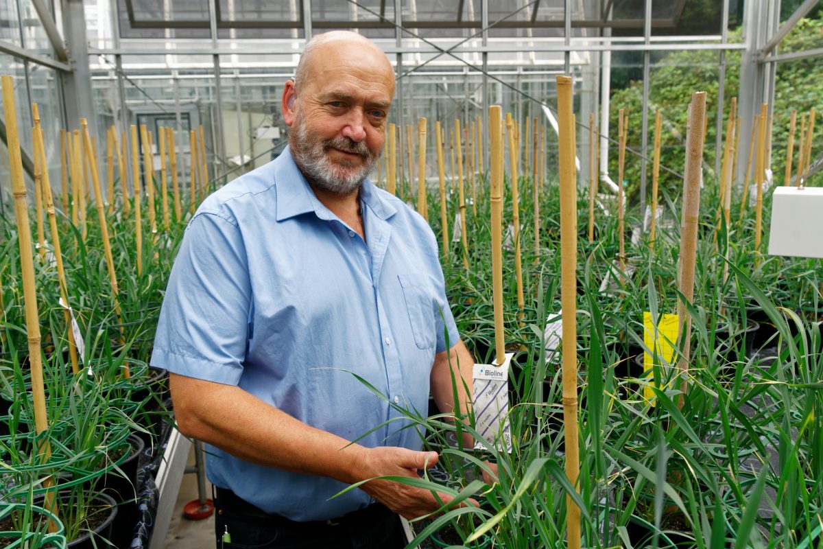 Secondary legislation for precision-bred crops welcomed by project partners