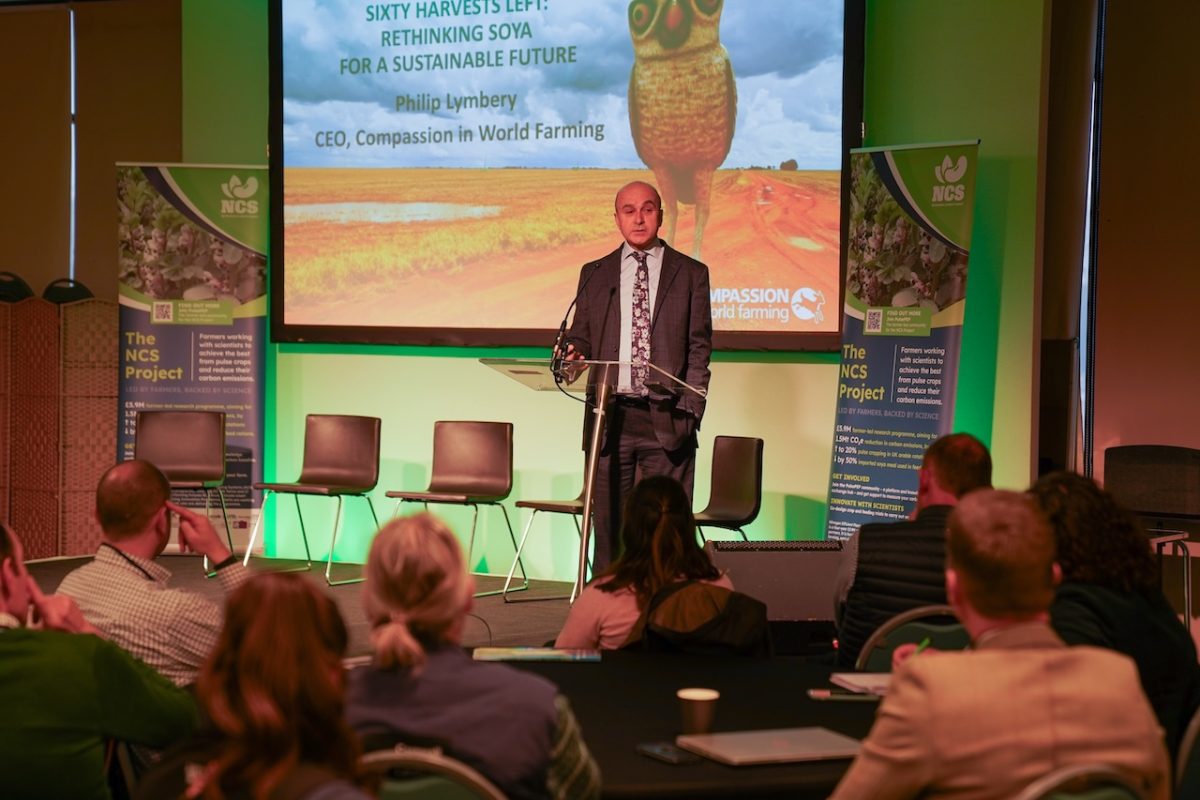 Industry leaders to explore soya alternatives at national conference 