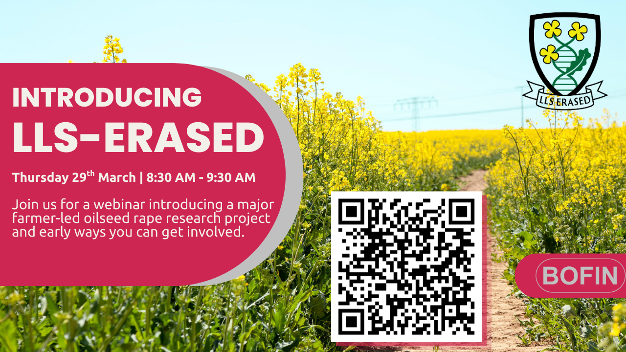 Introducing LLS-ERASED